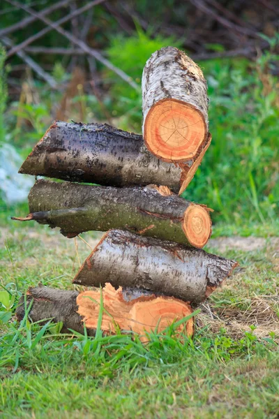 stock image Firewood