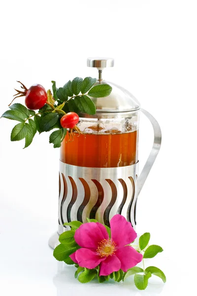 Csipkebogyó tea — Stock Fotó