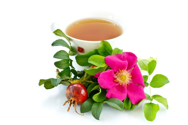Rosehip chá — Fotografia de Stock