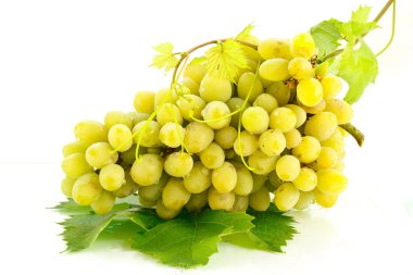 Grapes clipart