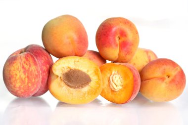 Apricots and Peaches clipart