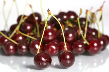 Cherries clipart