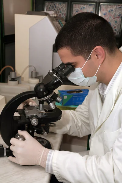 Laboratory research — Stock Photo, Image