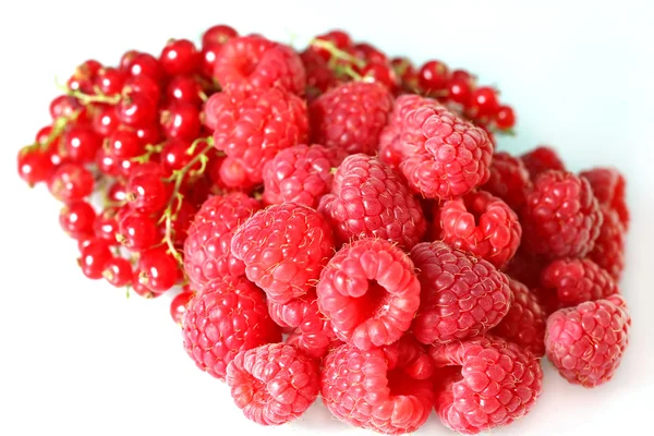 Raspberries and red currants — Stock Photo, Image