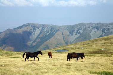 Makedonya, eski yugoslav Cumhuriyeti