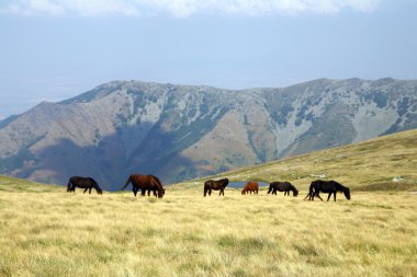 Makedonya, eski yugoslav Cumhuriyeti