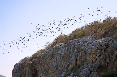 Makedonya, eski yugoslav Cumhuriyeti