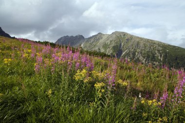 dağ ve doğa Slovakya