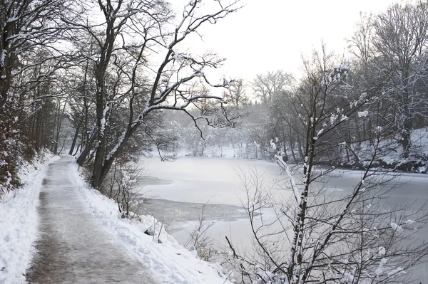 Winter idylle — Stockfoto