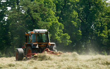 Harvest time clipart