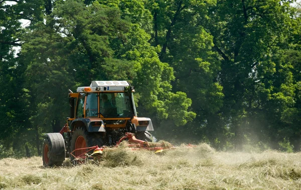 stock image Harvest time