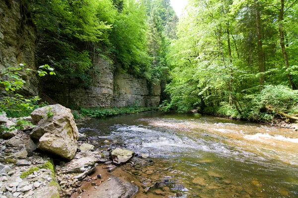 Wild creek — Stock Photo, Image