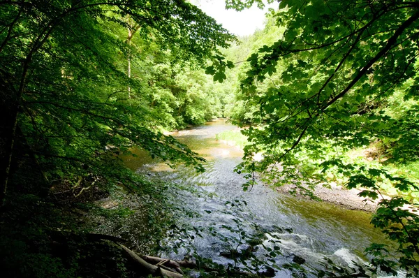 Klidná řeka — Stock fotografie