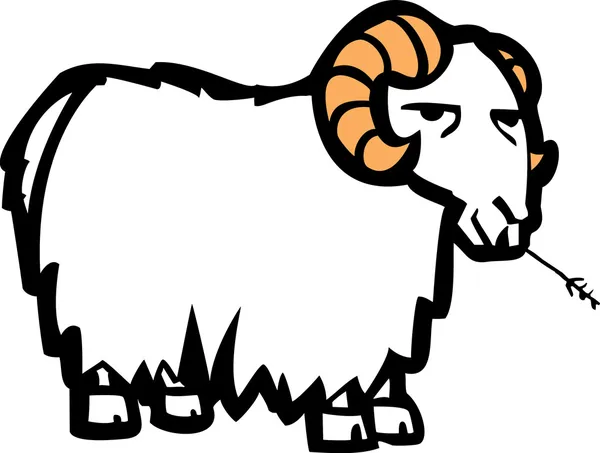 Koza — Stockový vektor