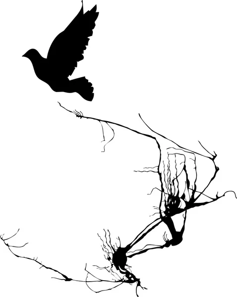 Pták má křídlo — Stockový vektor