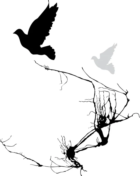 Dos pájaros — Archivo Imágenes Vectoriales