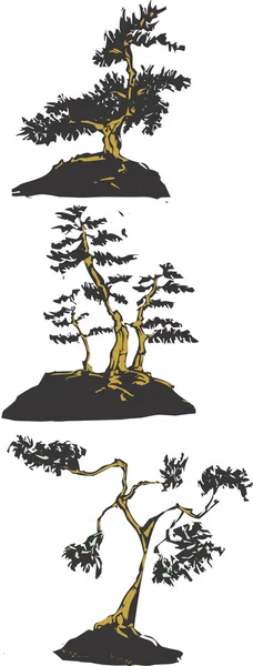 stock vector Japanese bonsai trees.