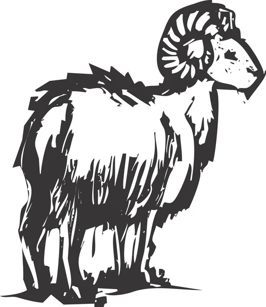 Büyük horn koyun — Stok Vektör
