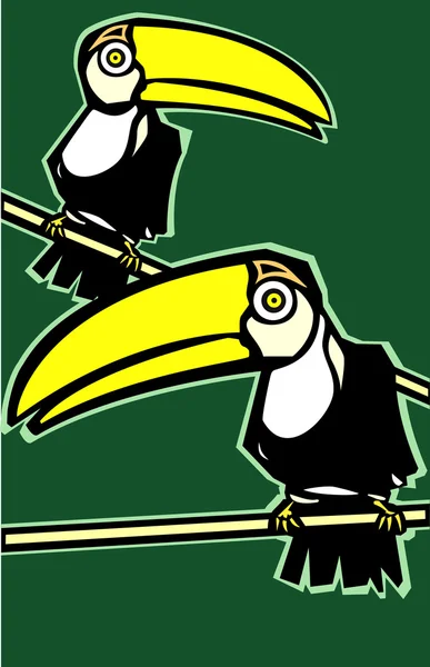 Dois tucanos —  Vetores de Stock