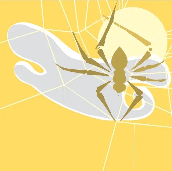 Spider # 3 — стоковый вектор