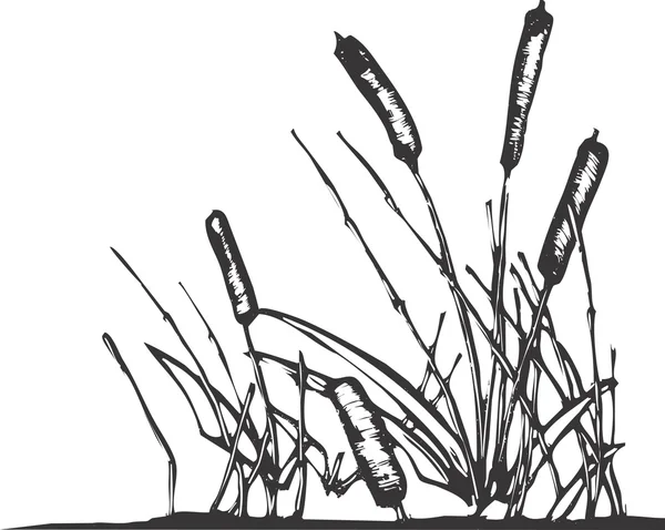 Reeds — Stock Vector