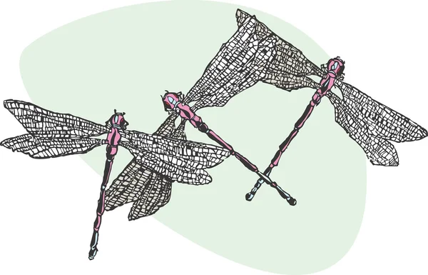 Стрекозы — стоковый вектор