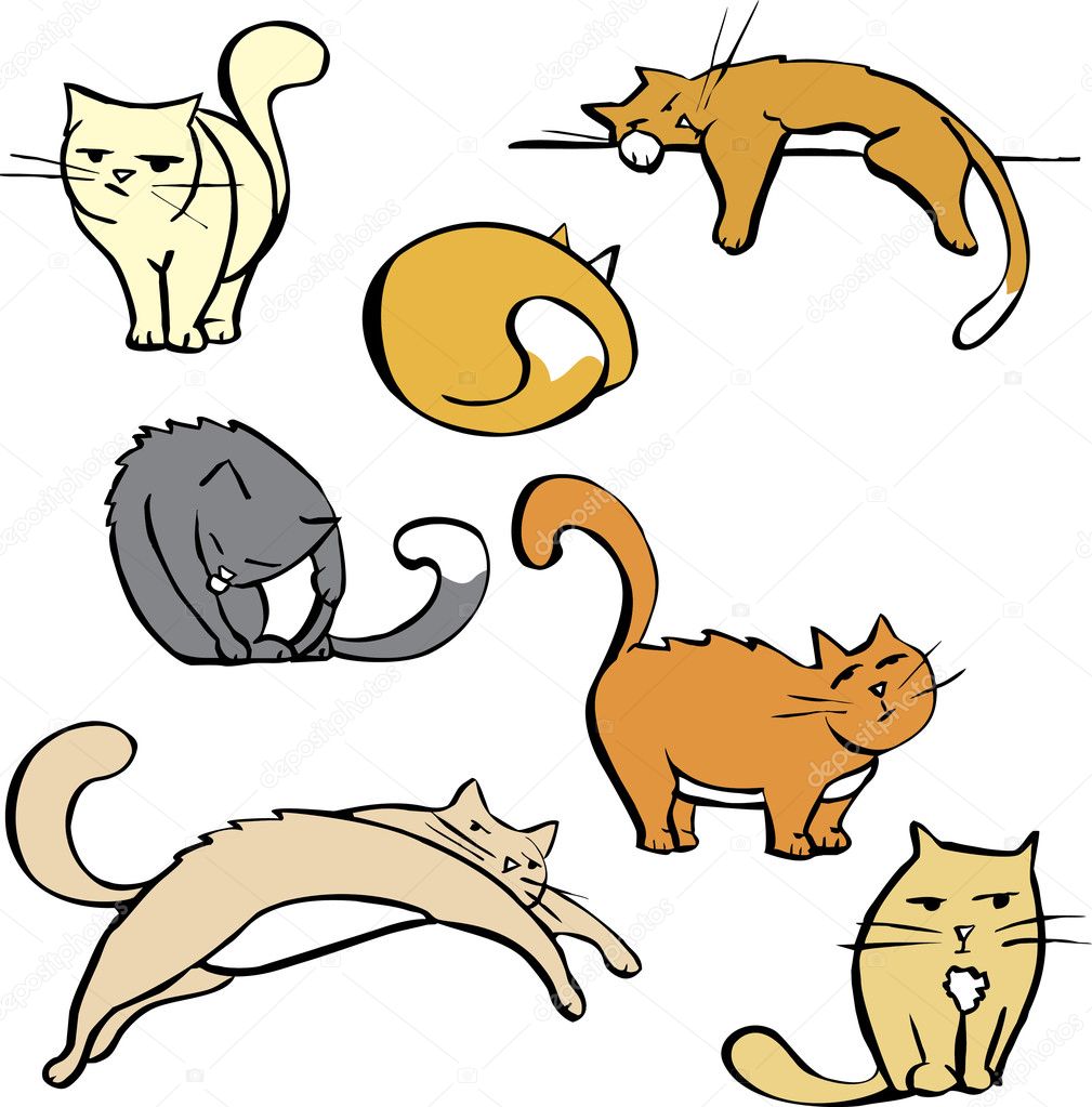 Several Cats