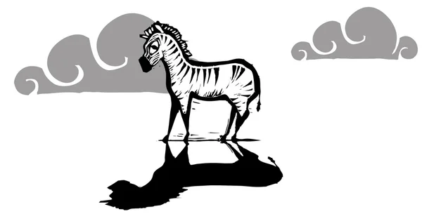 Yalnız zebra — Stok Vektör