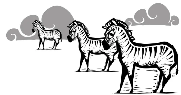 Zebra Herd — Stock Vector