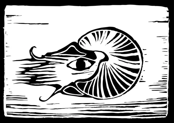 Nautilus — Image vectorielle