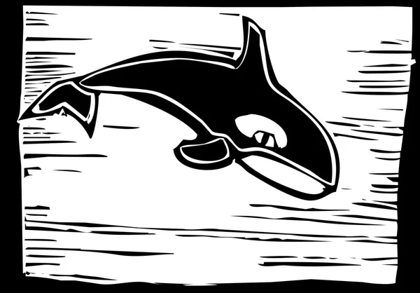 Killer Whale — Stock Vector