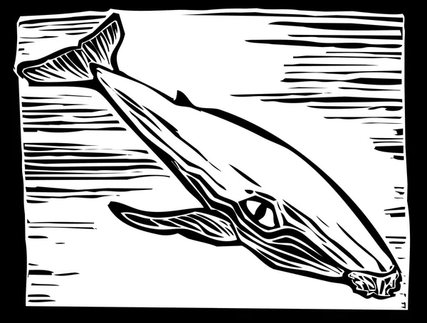 Baleia jubarte — Vetor de Stock