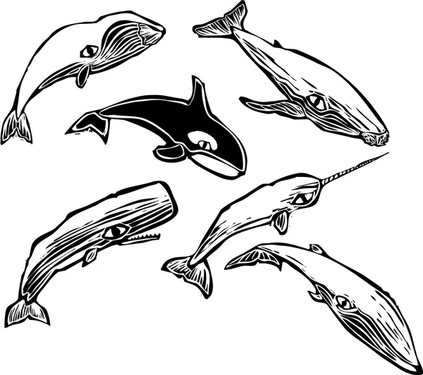 Grupa wieloryb — Wektor stockowy