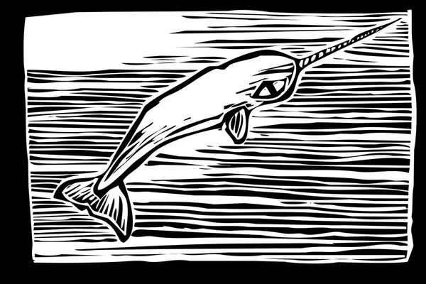 独角鲸 — 图库矢量图片