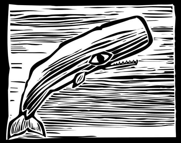 Sperm Whale — Stock Vector
