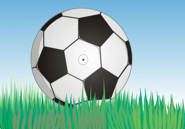 Soccerball on fresh green grass under bl — Stock Vector