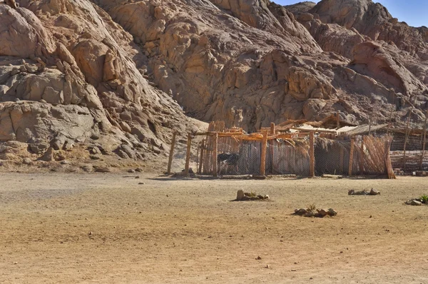 Bedoeïenen dorp — Stockfoto