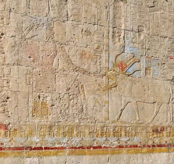Faraon chrám - hieroglyfy na zdi — Stock fotografie