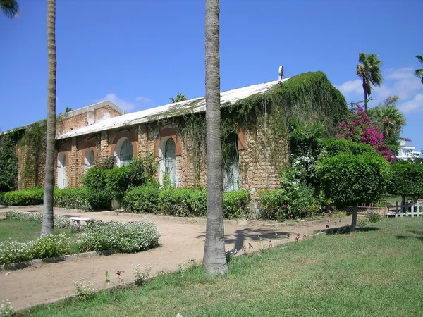 stock image Green House