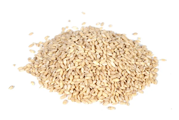Pouerd buğday — Stok fotoğraf