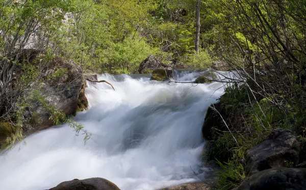 Stock image Waterfall in the forest