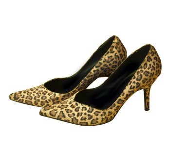 Leopard shoes isolated on white clipart