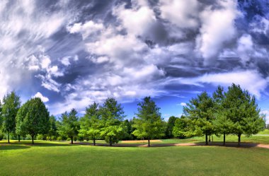 Panorama of a park in summer with clouds clipart