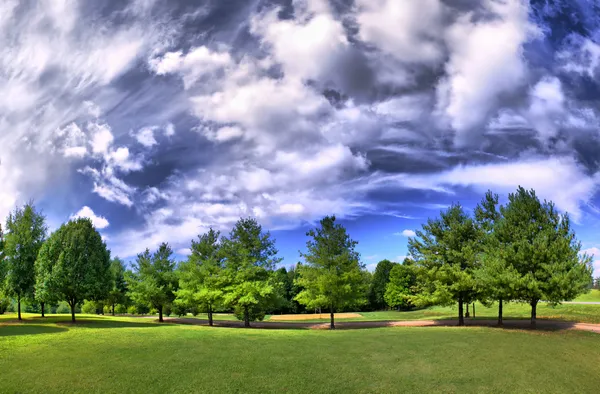 Panorama eines Parks im Sommer mit Wolken Stockbild