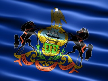 pennsylvania eyalet bayrağı