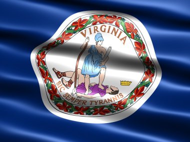 virginia eyalet bayrağı