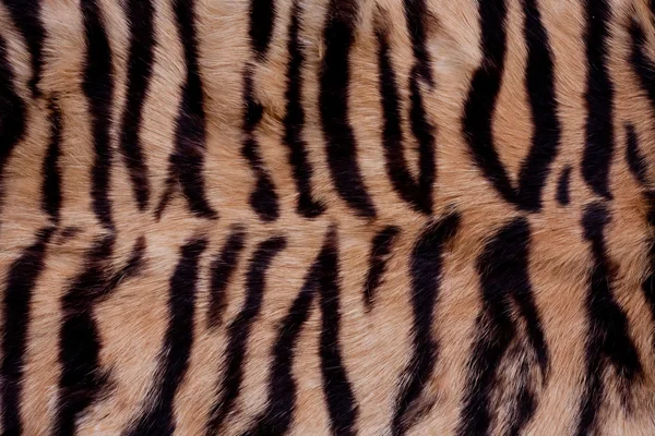 Animal Fur Background — Stock Photo, Image