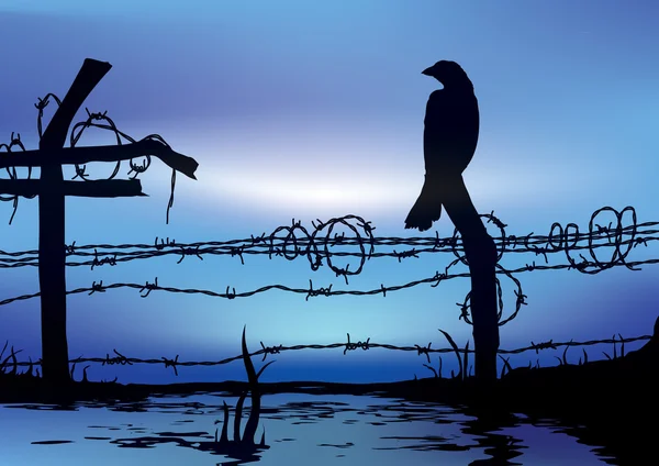 Pták stojící na drátěný plot — Stock fotografie