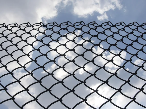 Проволочный забор — стоковое фото