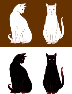 Cats clipart